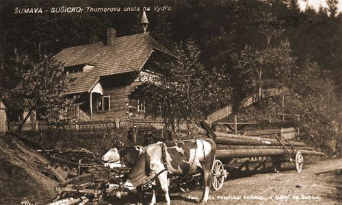 Historische Postkarte Schüttenhofen Wydratal